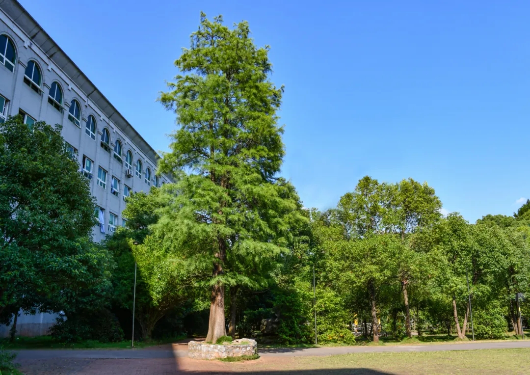 202507231450450651.jpg 202507231450450651.jpg