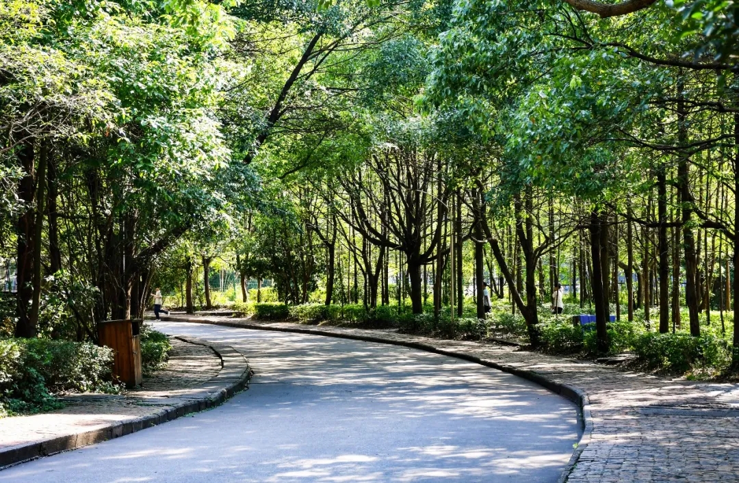 202507231450459863.jpg 202507231450459863.jpg