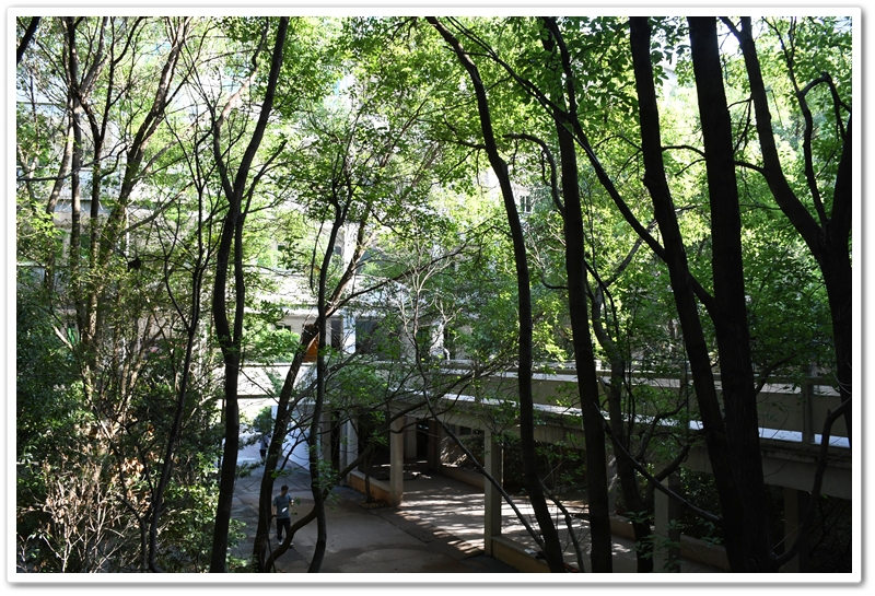 夏天，遇见最美校园（2025年7月24日）