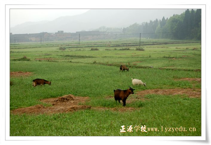 正源学校春游--沿路风光
