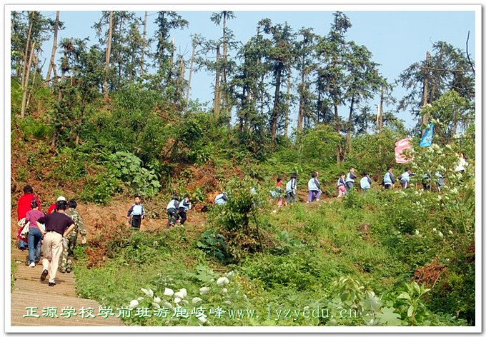 正源学校学前班游鹿岐峰